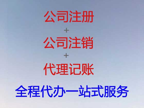 五指山公司个体户注册-代理记账